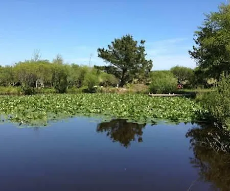崔根湖泊山林小屋 山林小屋 *